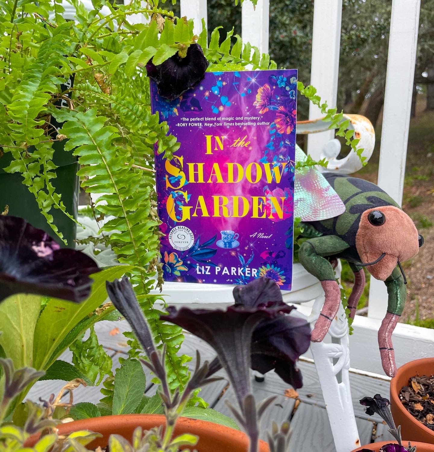 In the Shadow Garden by Liz Parker, Paperback