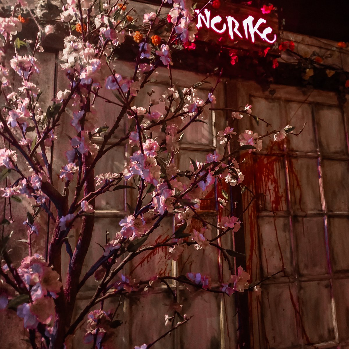 The cherry blossoms are still blooming outside Noriko's house. What's inside is less pretty. 👻
Feeling brave enough to solve the Haunting Of Noriko?