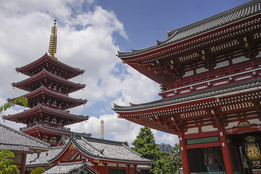 Asia Video Support tweet media