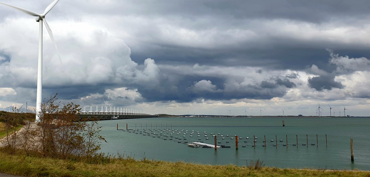 Zeewaar (@zeewaar) on Twitter photo 