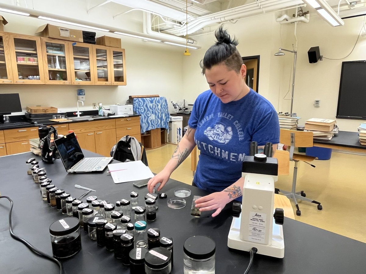 LVCEnvi's tweet image. Libby Geist (BIO, ENVI minor ‘22) &amp;amp; Taylor Casey (ENVI ‘22) are spending the summer working with Dr Becker. They’re helping him investigate how the invasive spotted lanternfly is changing the insect community of LVC’s Research Preserve. #LVCEnvi #LVCResearch