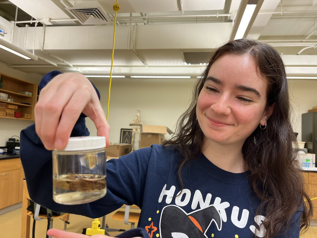 LVCEnvi's tweet image. Libby Geist (BIO, ENVI minor ‘22) &amp;amp; Taylor Casey (ENVI ‘22) are spending the summer working with Dr Becker. They’re helping him investigate how the invasive spotted lanternfly is changing the insect community of LVC’s Research Preserve. #LVCEnvi #LVCResearch
