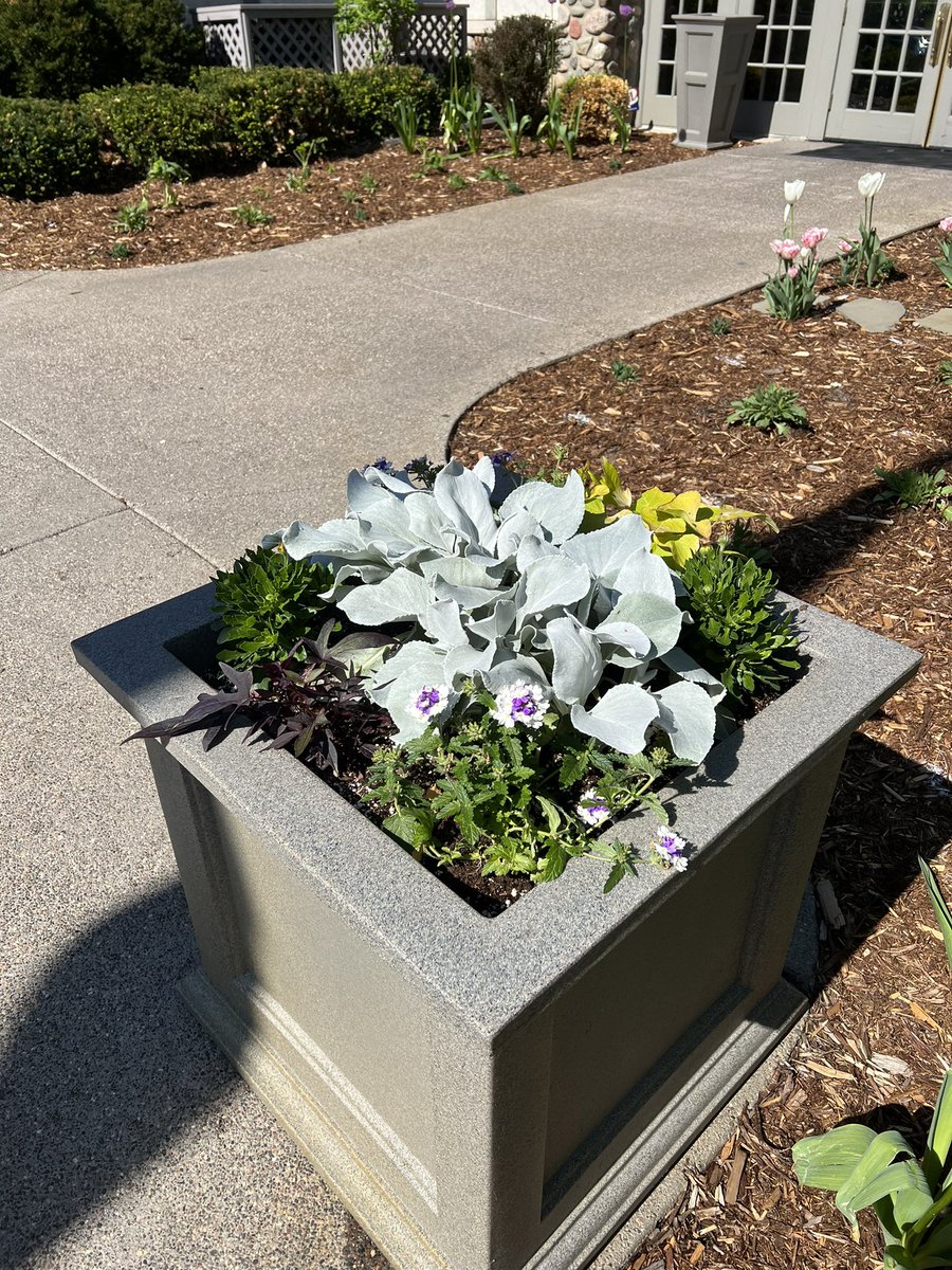 Jeff Girard (@girardredwine) on Twitter photo Got a nice tour by <a href="/BetsyODonnell10/">Betsy OโDonnell</a> of all the improvements sheโs been making <a href="/RushCreekGC/">Rush Creek Golf Club</a>. Had to sneak in a pic of the Angel WingsโฆBetsy is the inspiration behind them. Overall, excellent improvements that look amazing! Should have taken a pic of the pine straw. <a href="/Gertens/">Gertens</a> Got a nice tour by <a href="/BetsyODonnell10/">Betsy OโDonnell</a> of all the improvements sheโs been making <a href="/RushCreekGC/">Rush Creek Golf Club</a>. Had to sneak in a pic of the Angel WingsโฆBetsy is the inspiration behind them. Overall, excellent improvements that look amazing! Should have taken a pic of the pine straw. <a href="/Gertens/">Gertens</a>