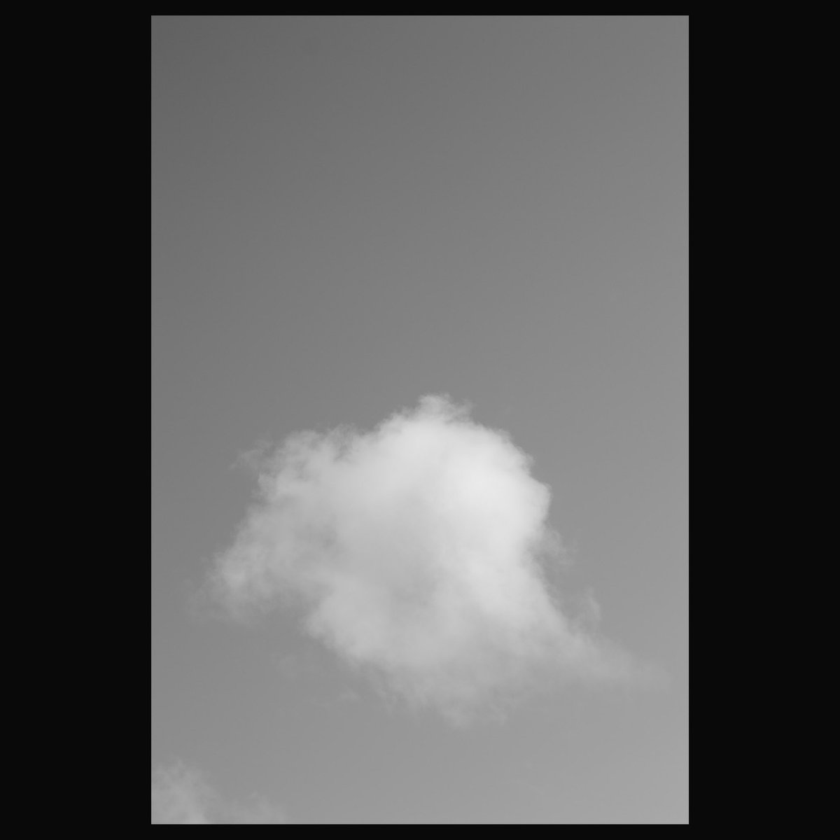 KID_Anonymous5's tweet photo. Ghost

#photography #monochrome
#キリトリセカイ #photopower 
#bnwphotography #nikon  
#ファインダー越しの私の世界 https://t.co/vJQJoWd2cO