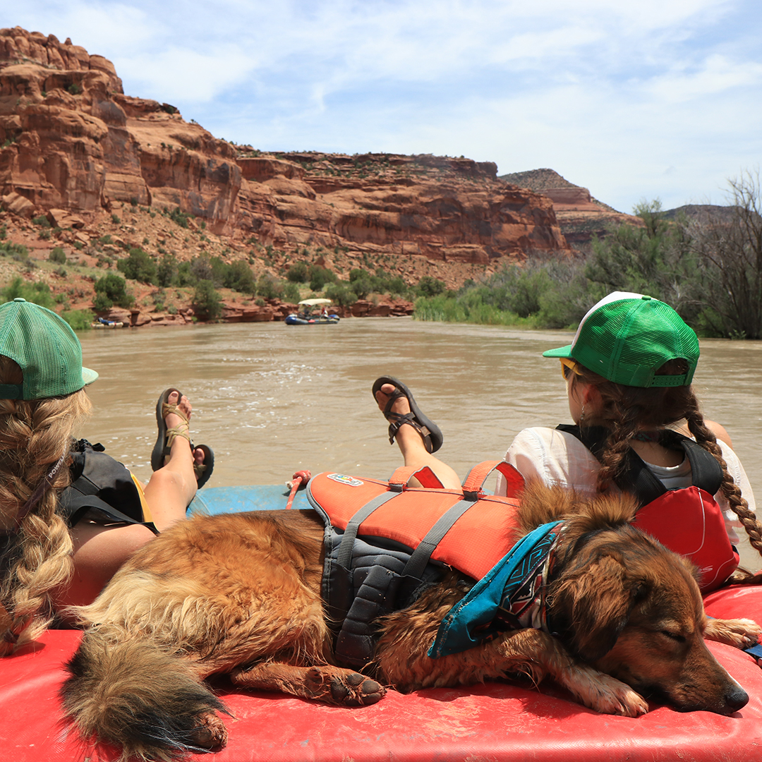 OspreyPacks's tweet image. Our partners over at @conservationall recently announced four advocacy priority campaigns for 2022. Today, we’re highlighting the Dolores River in Colorado. Learn more and give them a follow: conservationalliance.com/advocacy/
#wekeepitwild
📸: @rigtoflip