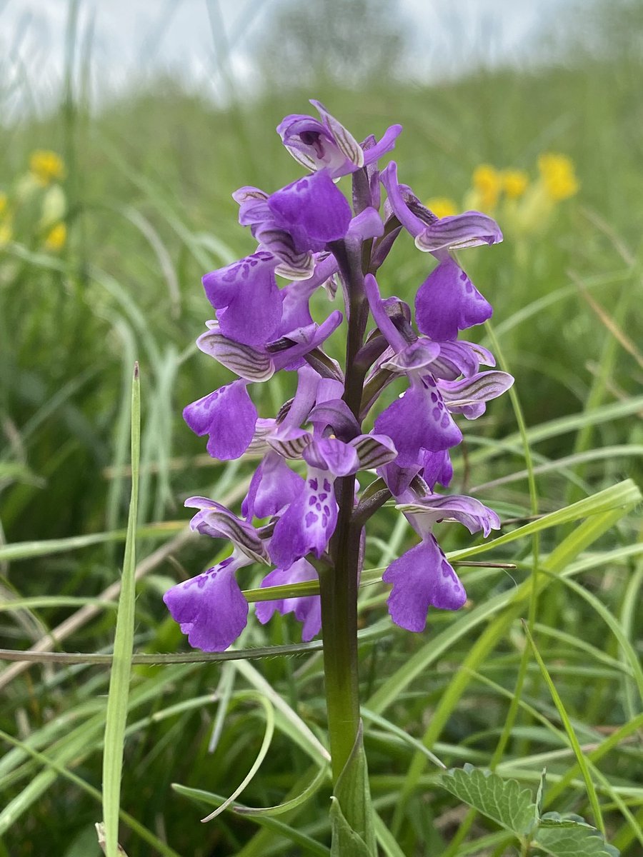 Matt Worster tweet media