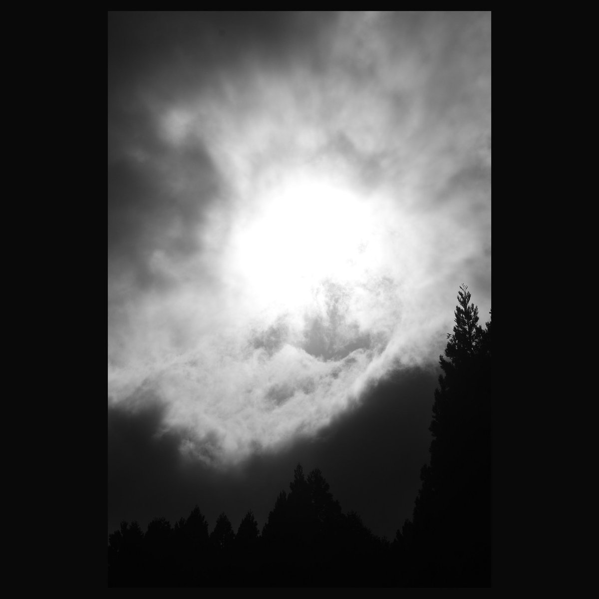 KID_Anonymous5's tweet photo. Sell my soul

#photography #monochrome
#キリトリセカイ #photopower 
#bnwphotography #nikon  
#ファインダー越しの私の世界 https://t.co/dZ5H1FLcyE