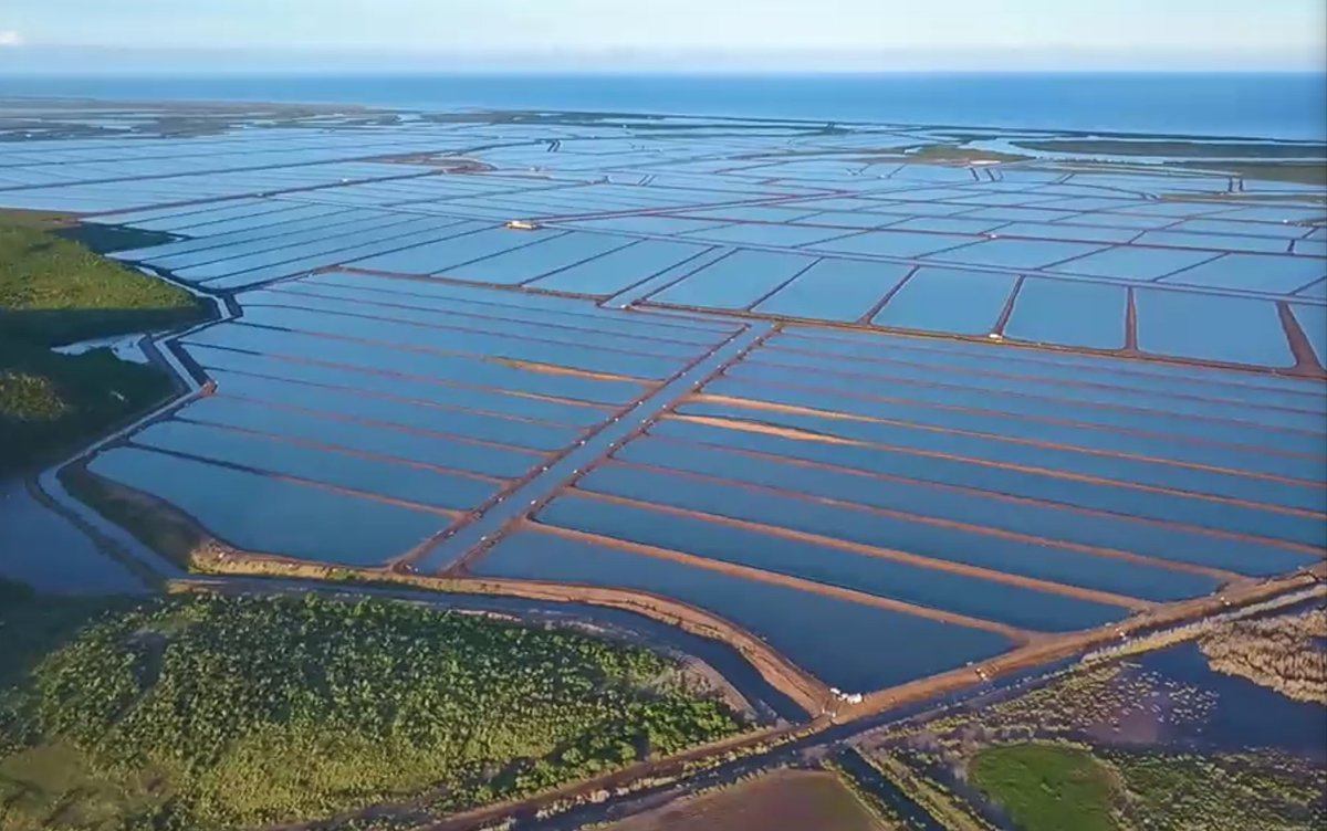 💙 And the report is.....

ADOPTED ! 🙋‍♀️🙋🙋‍♂️

Under the virtual applauds of the participants 👏👏👏

and the congratulations speeches of the <a href="/FAOfish/">Fisheries & Aquaculture</a> director and the chairs of the XIth and XIIth sessions.

Next #COFIaquaculture meeting in Mexico 🇲🇽 in 2⃣0⃣2⃣3⃣!