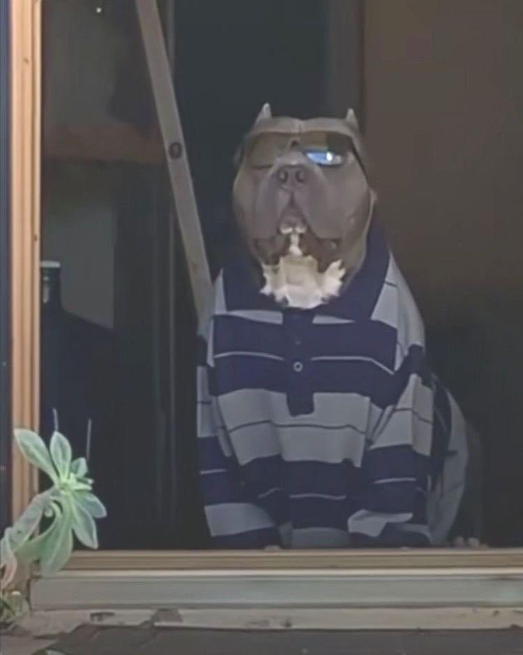 Qué tranza carnal, la croqueta o la vida.