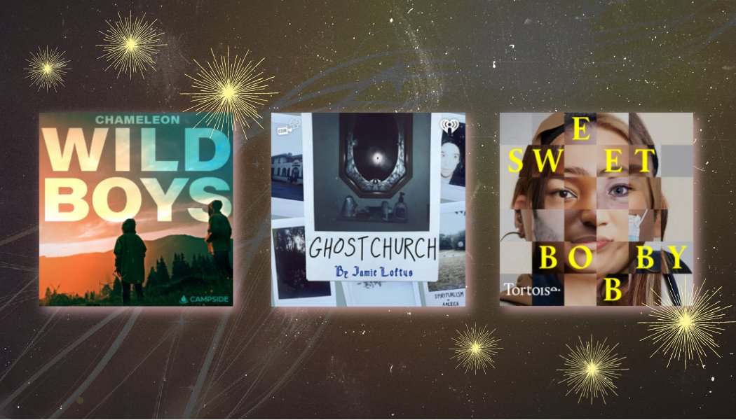 Podcast Playlist tweet media