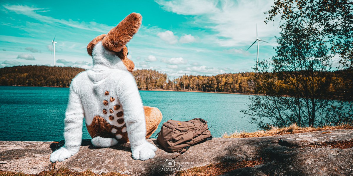 Bunny out hiking 🐇
#FursuitFriday 
#furryfandom 

📸Photo by my good friend <a href="/JesseyDog/">Jessey🏳️‍⚧️</a>