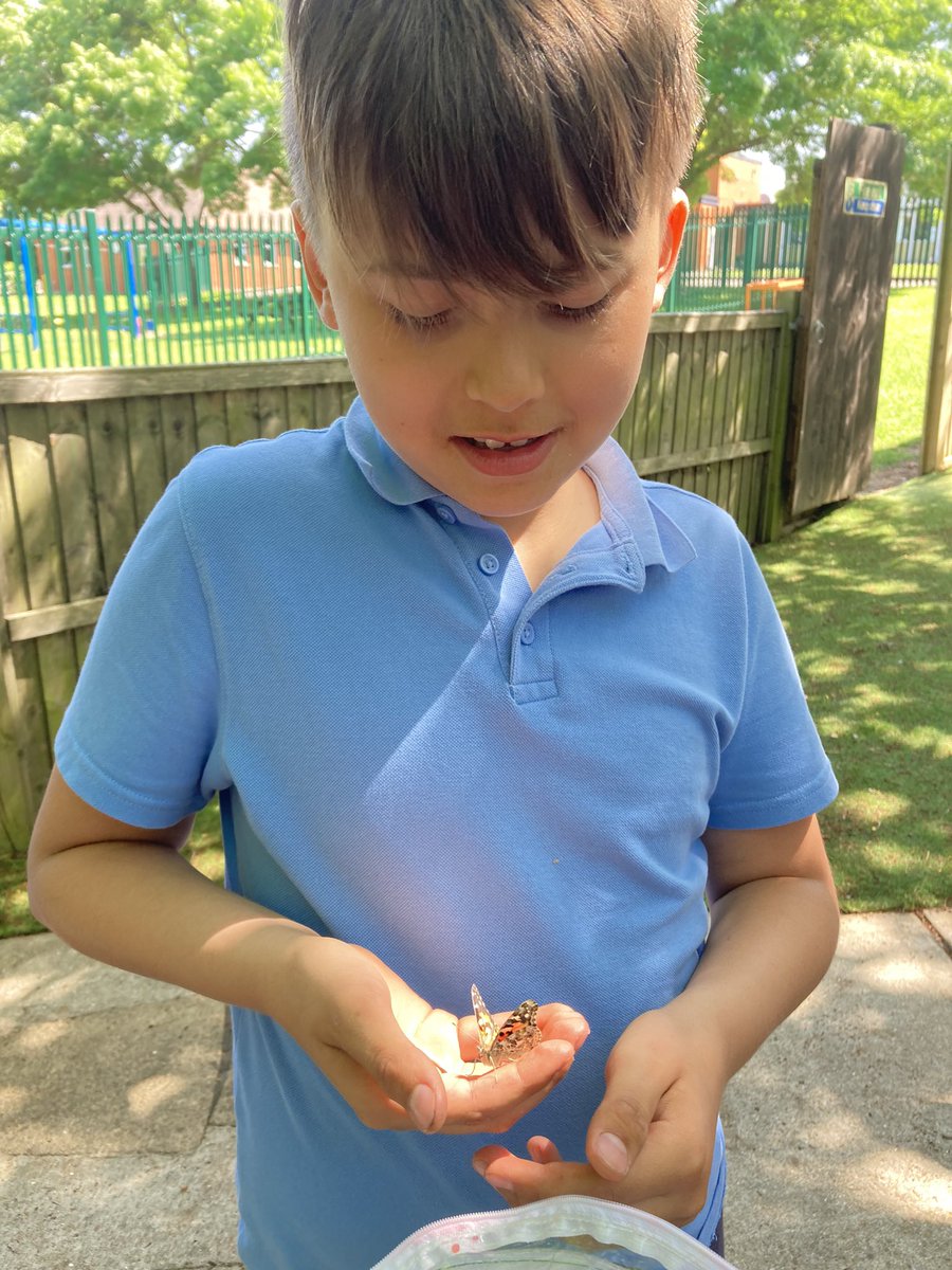 ICPrimarysup's tweet photo. Releasing our beautiful Painted Lady butterflies. We have all learnt so much from watching the life cycle of our butterflies progress within our classroom, what an amazing world we share! ๐๐ฆ๐๐๐
#ThisisAP
#outdoorlearning
#ENWCbutterfliesweek
#exploringnaturewithchildren https://t.co/jcvCTwCnNN
