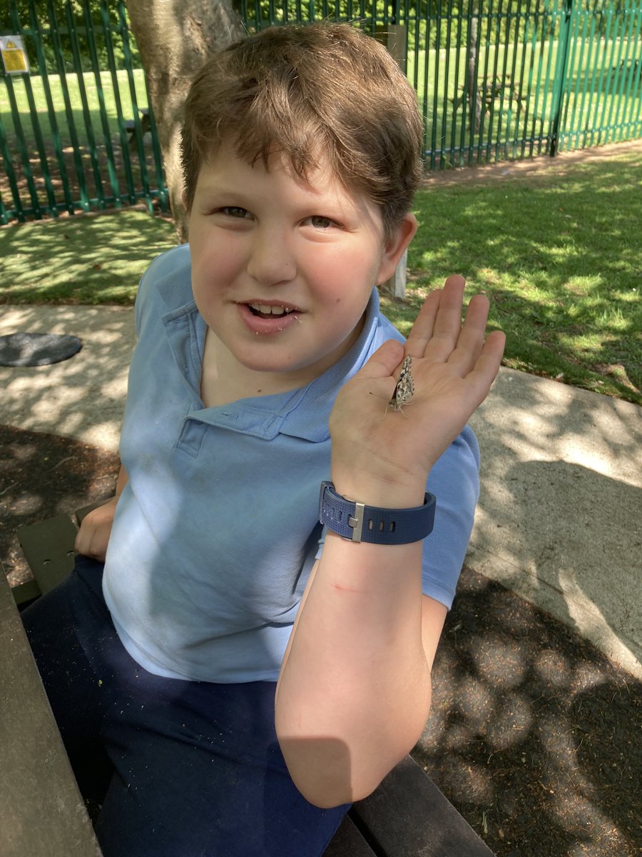 ICPrimarysup's tweet photo. Releasing our beautiful Painted Lady butterflies. We have all learnt so much from watching the life cycle of our butterflies progress within our classroom, what an amazing world we share! ๐๐ฆ๐๐๐
#ThisisAP
#outdoorlearning
#ENWCbutterfliesweek
#exploringnaturewithchildren https://t.co/jcvCTwCnNN