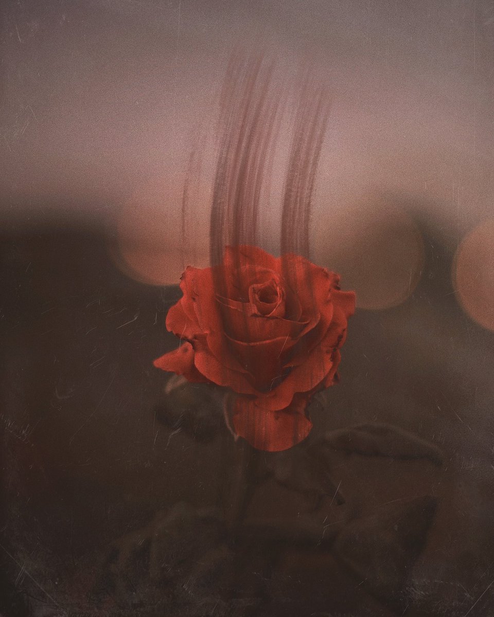 sereneObscurity's tweet image. leave a mark