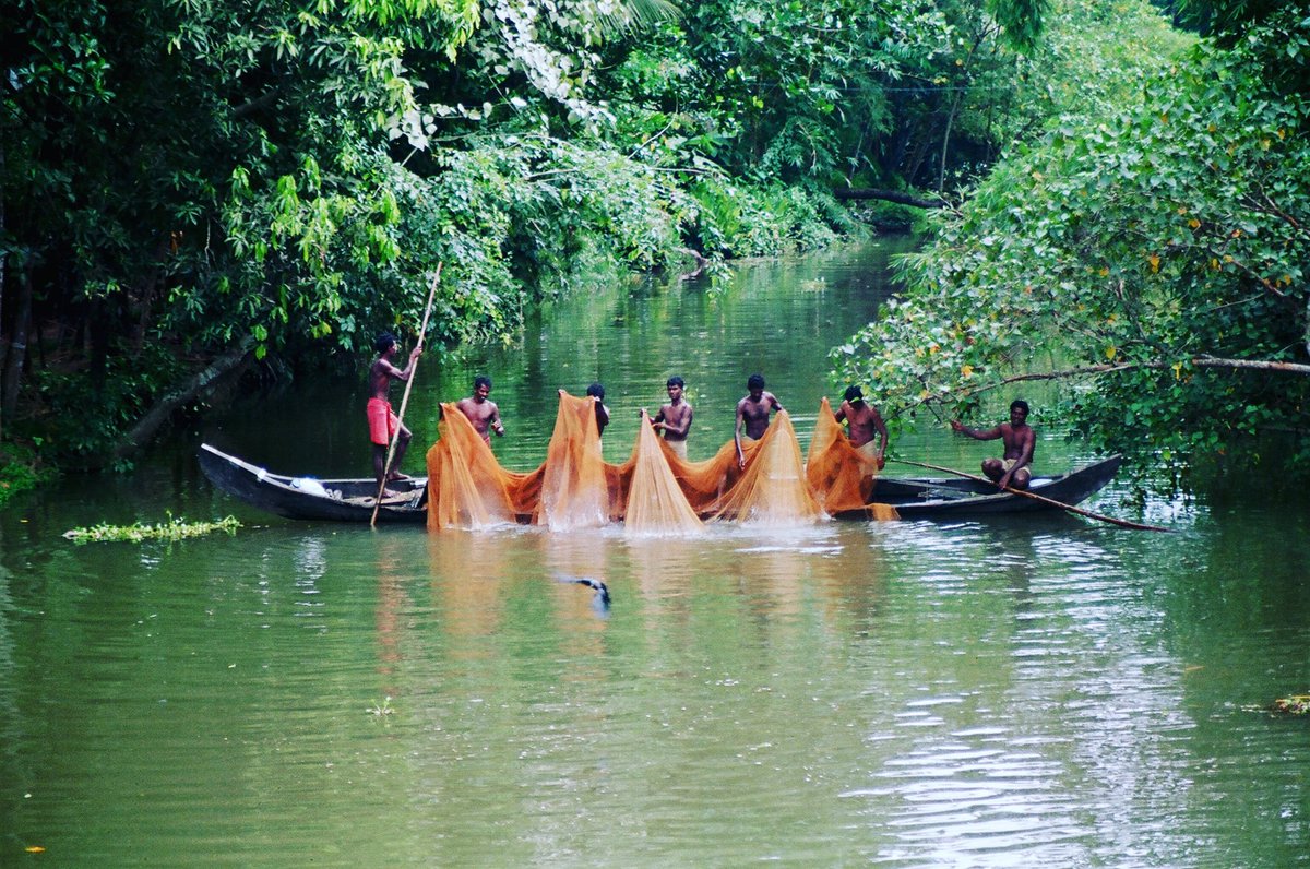 Kuttanadan tweet media