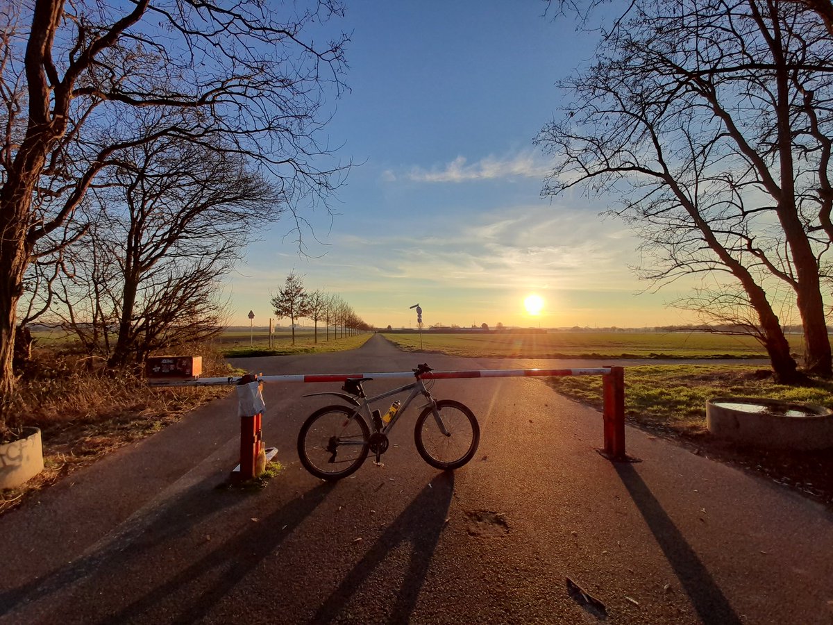 Cycling Trucker tweet media