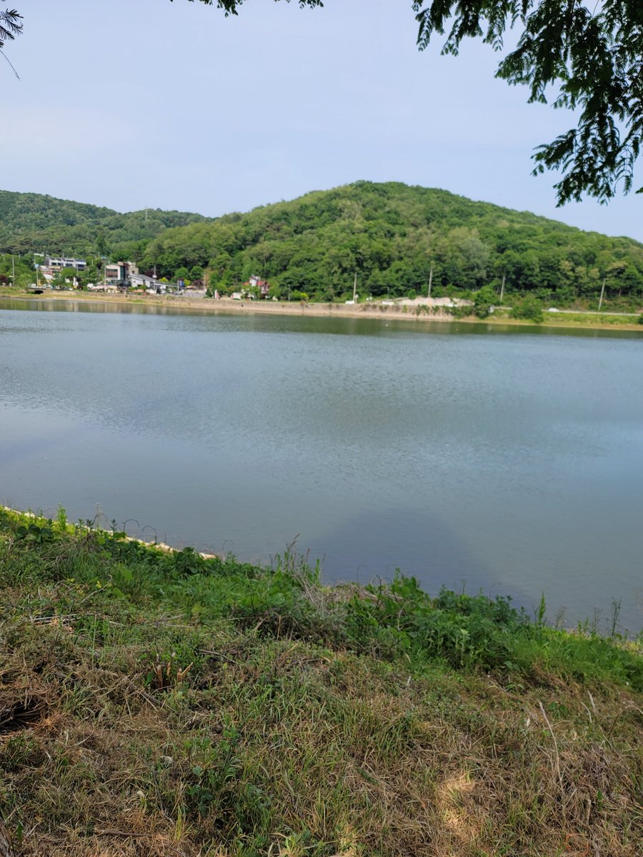 마조섭 구해봐요.
40~50대 펨마조 환영해요.
라인  hye8960