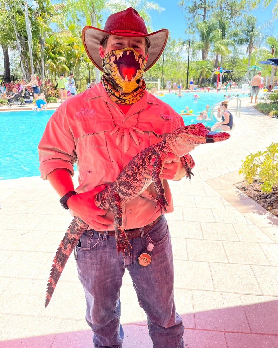 Join Gatorland as they showcase some amazing animals. Learn from the experts all about alligators and their natural habits. You may even get a chance to hold one!

To view more Memorial Day activities at The Grove, visit ow.ly/Q3SX50JfYwp.