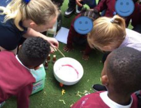 St Patrick's Primary tweet media