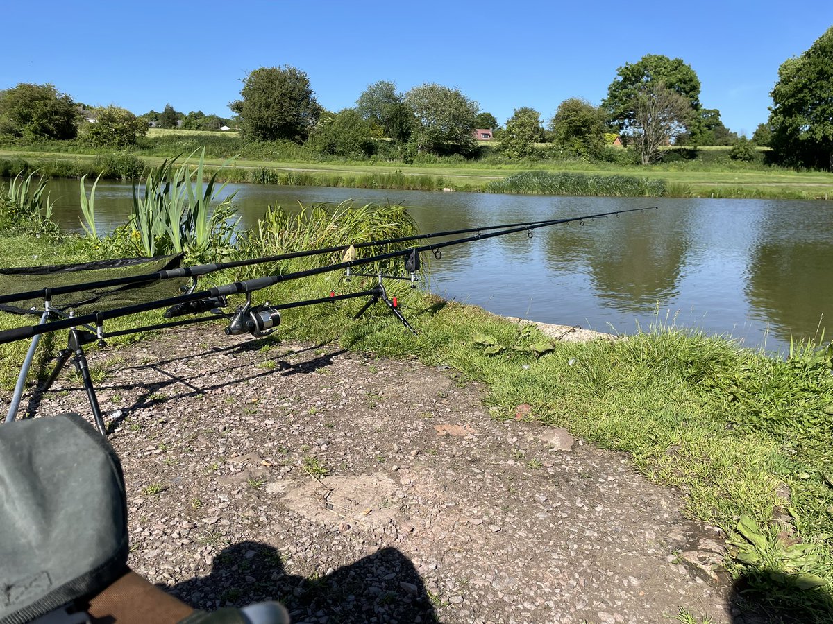 Tight lines everyone🤞🎣 #carpfishing #carp
