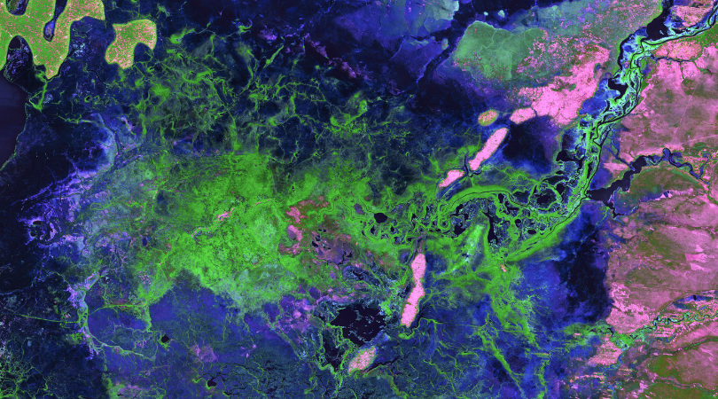 USGSLandsat's tweet photo. 17 rivers flow into the Bangweulu Wetlands in Zambia, but only one drains out. Green tendrils randomly sweep through the image, a landscape dominated by various grasslands, open water, and dense Papyrus grass and Phragmites reeds. https://t.co/l58b0RaC7I
