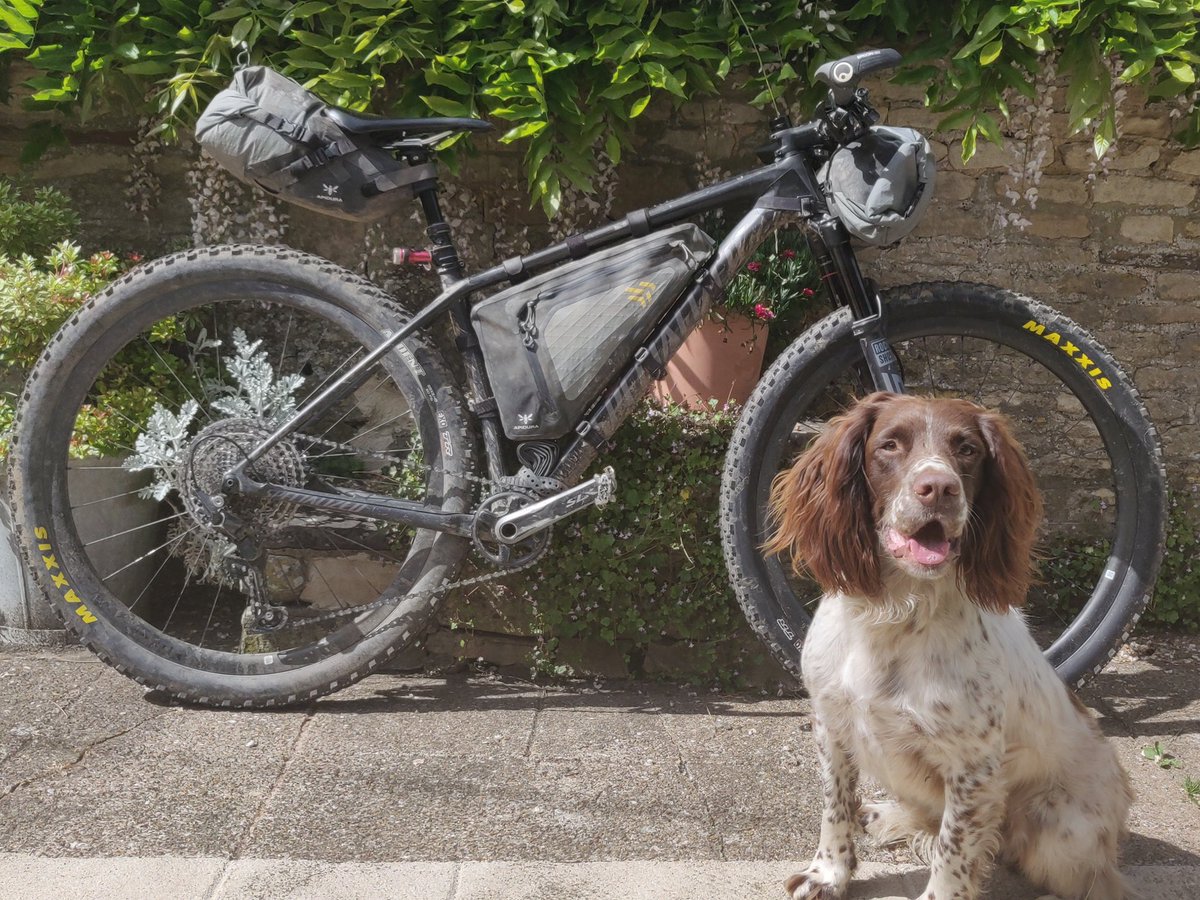 DotWatcher tweet media