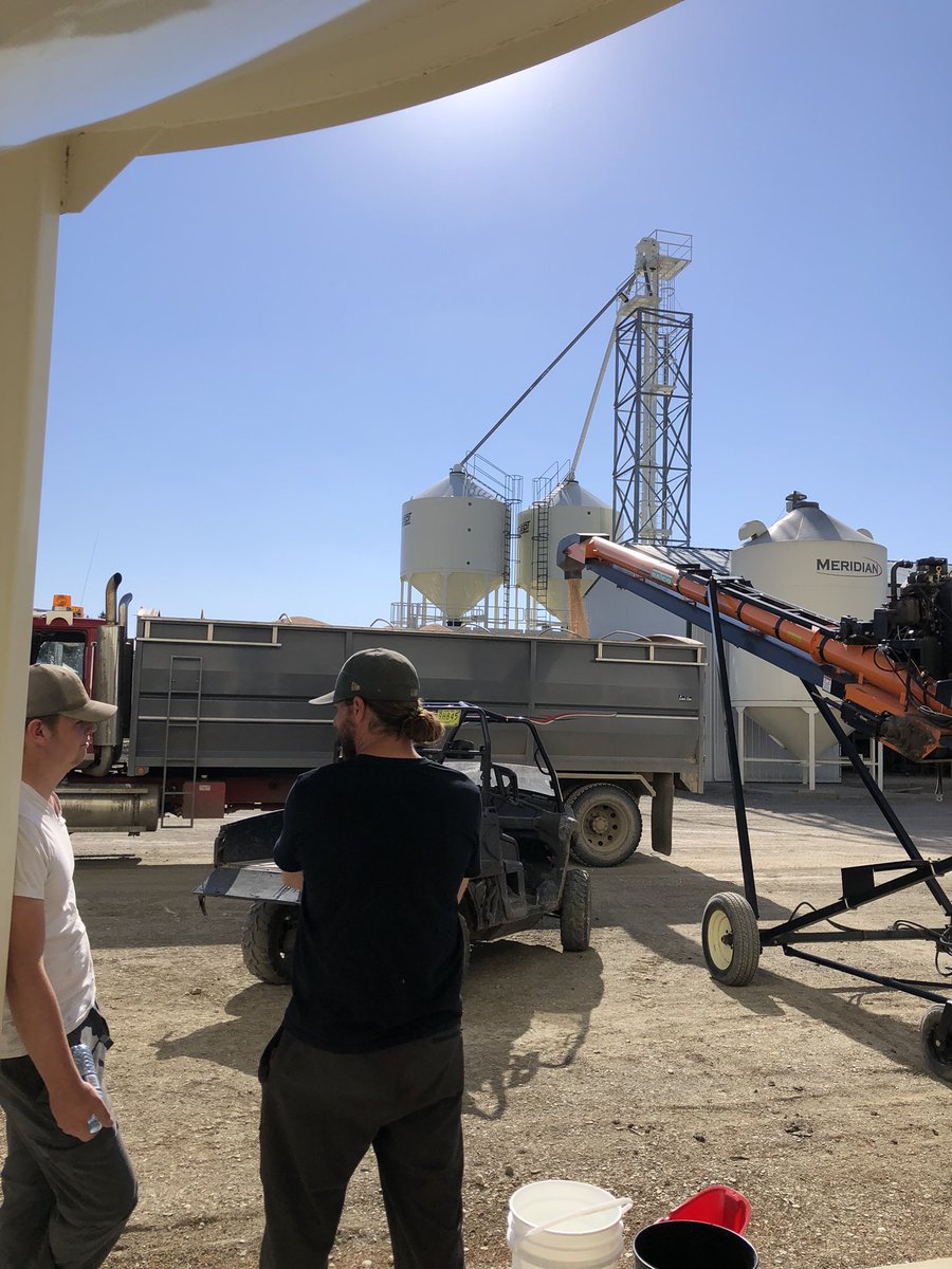 Certified No. 1 Carver peas  heading out the door. <a href="/KatharynHouston/">Katharyn Houston</a>