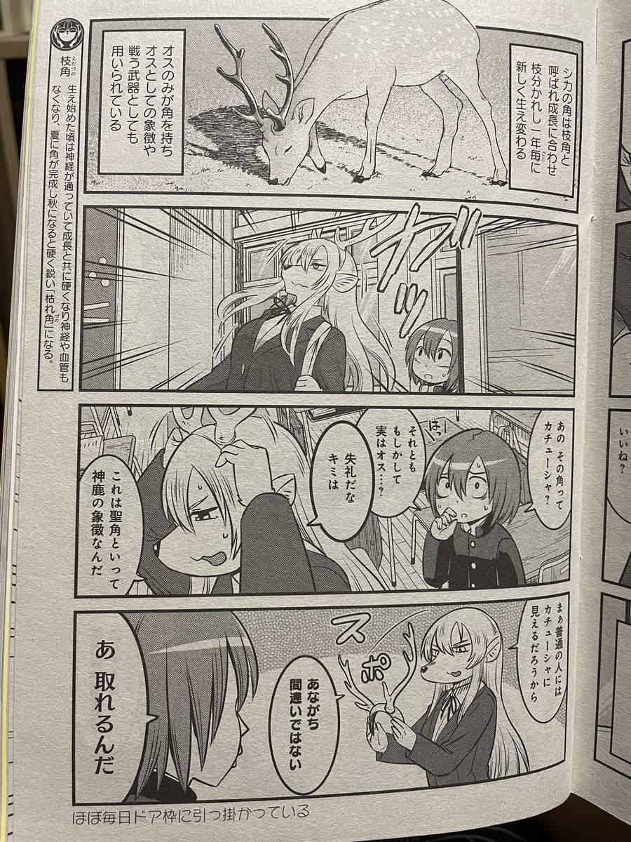 @zsiCmwdl_ その辺は2話目で出てきます( ✌︎'ω')✌︎先月号なのでバックナンバーか単行本をお楽しみに! 