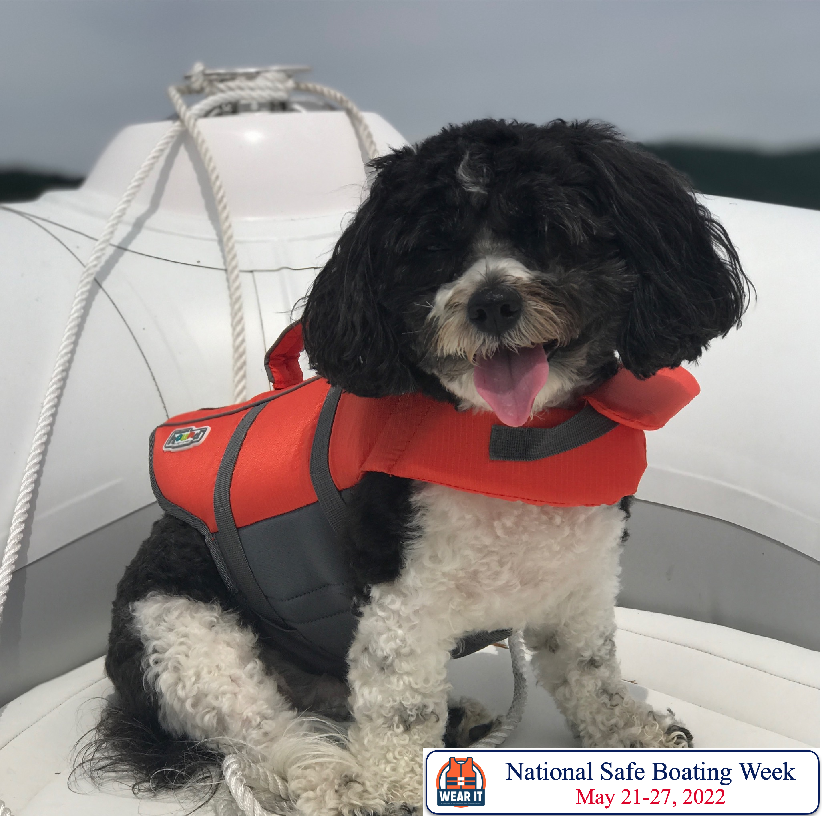 Meet Pepper. Pepper knows safe boating means wearing a life jacket