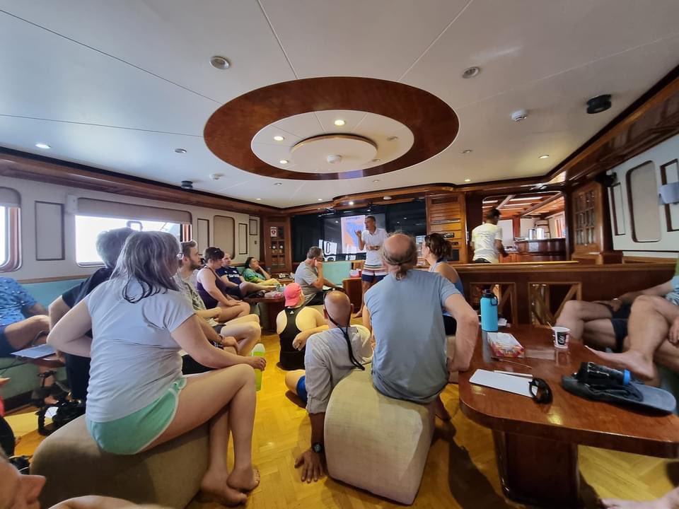 Dearne Valley Divers tweet media