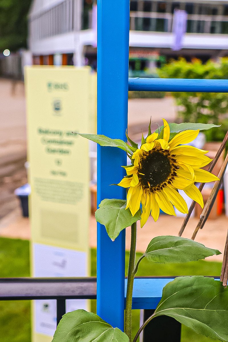 Massive congratulations to Flock Party Studio <a href="/SwarovskiOptik/">SWAROVSKI OPTIK</a> on winning a bronze award at <a href="/The_RHS/">The RHS</a> Chelsea this year with the ‘Jay Day’ Garden! So well deserved 🏆 [AD] <a href="/GECPRUK/">GEC PR</a> #jaydayproject #seentheunseen #flockpartystudio #ChelseaFlowerShow