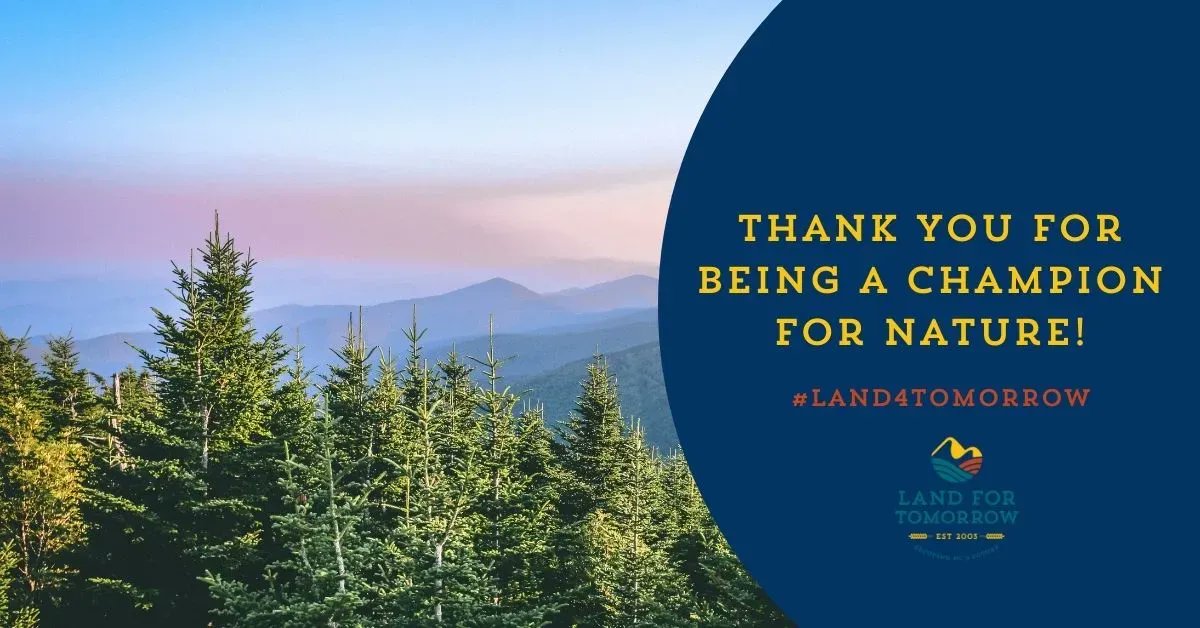 Our forests matter &amp; need protection! We're supporting recurring funds for NC Forest Service to manage state forests as recommended by the Comm of Agriculture. Join us in asking legislators to protect conservation funding &amp; policies: land4tomorrow.org/invest-in-cons…

#LFTActionWeek
