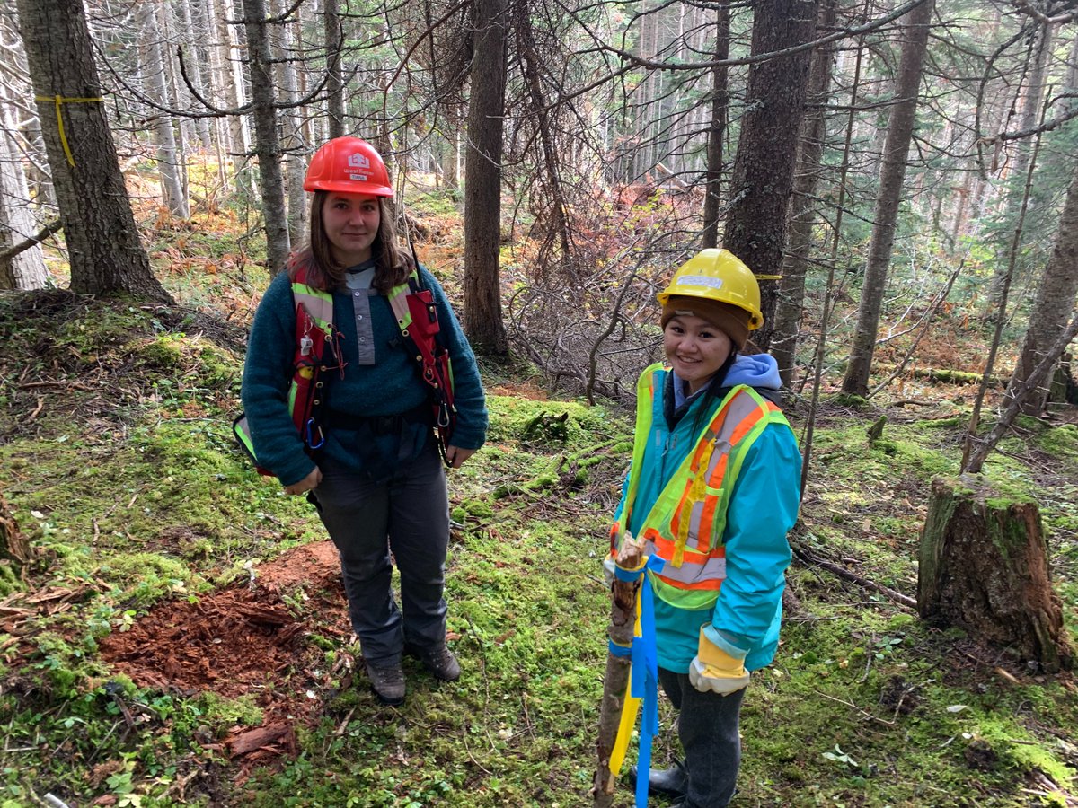 📢Calling all #FutureFacesofForestry 📢

We are now accepting applications for COFI's 2022 Forestry Scholarship 🌲👷🏿‍♀️🧑🏻‍💼🌎. 

Learn more about this great opportunity, including our partnership with <a href="/NRT_BC/">NRT</a> to provide Indigenous-focused scholarships, here: cofi.org/forest-educati…