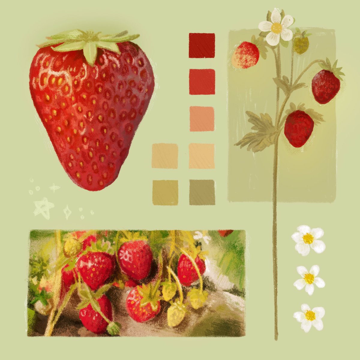 Fancy Study drawing page of strawberries 🍓✨ 

#illustration #digitalart #studydrawing #sketch #realismdrawing #art #strawberry #strawberries