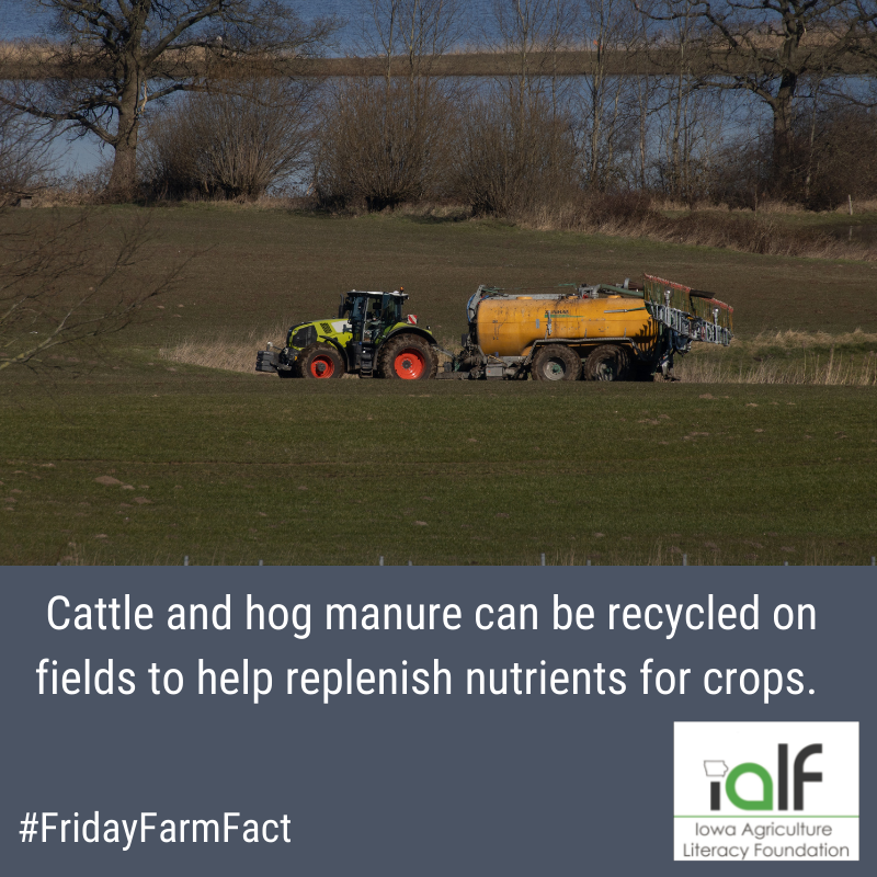 IowaAgLiteracy's tweet photo. A sustainable practice in agriculture is using waste from livestock to increase soil health. 
#FridayFarmFact https://t.co/HlPtfse9bT
