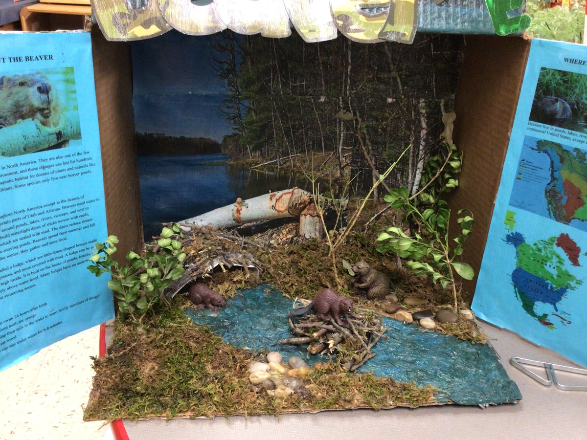 Mr. Young tweet media