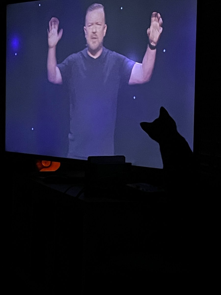 TashhaJ's tweet photo. @rickygervais My Cat is a fan . https://t.co/9bN7NvLdpO