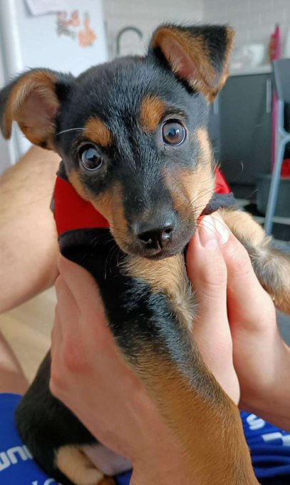 NoPeronia's tweet image. Hijos de putas
#LiberenACoco