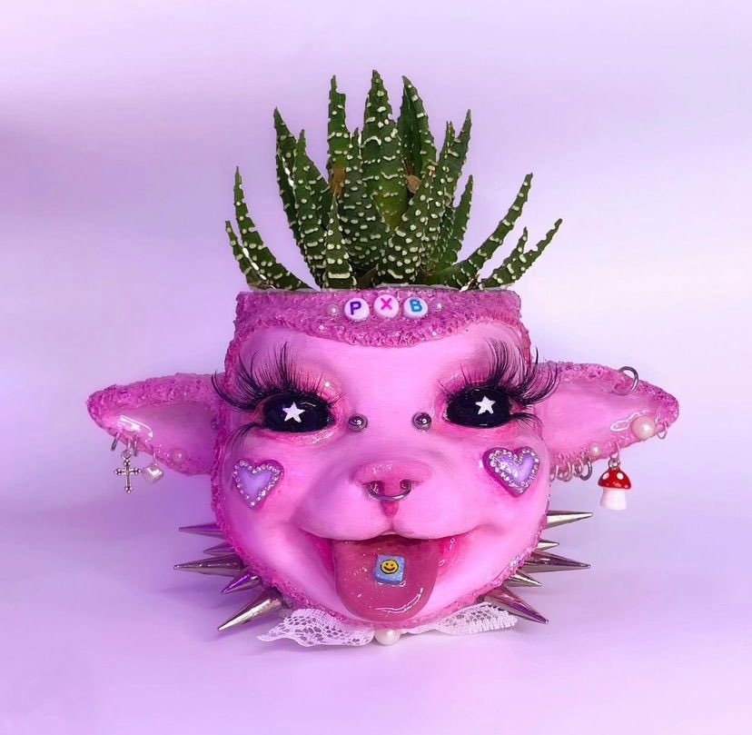 pixie tweet media