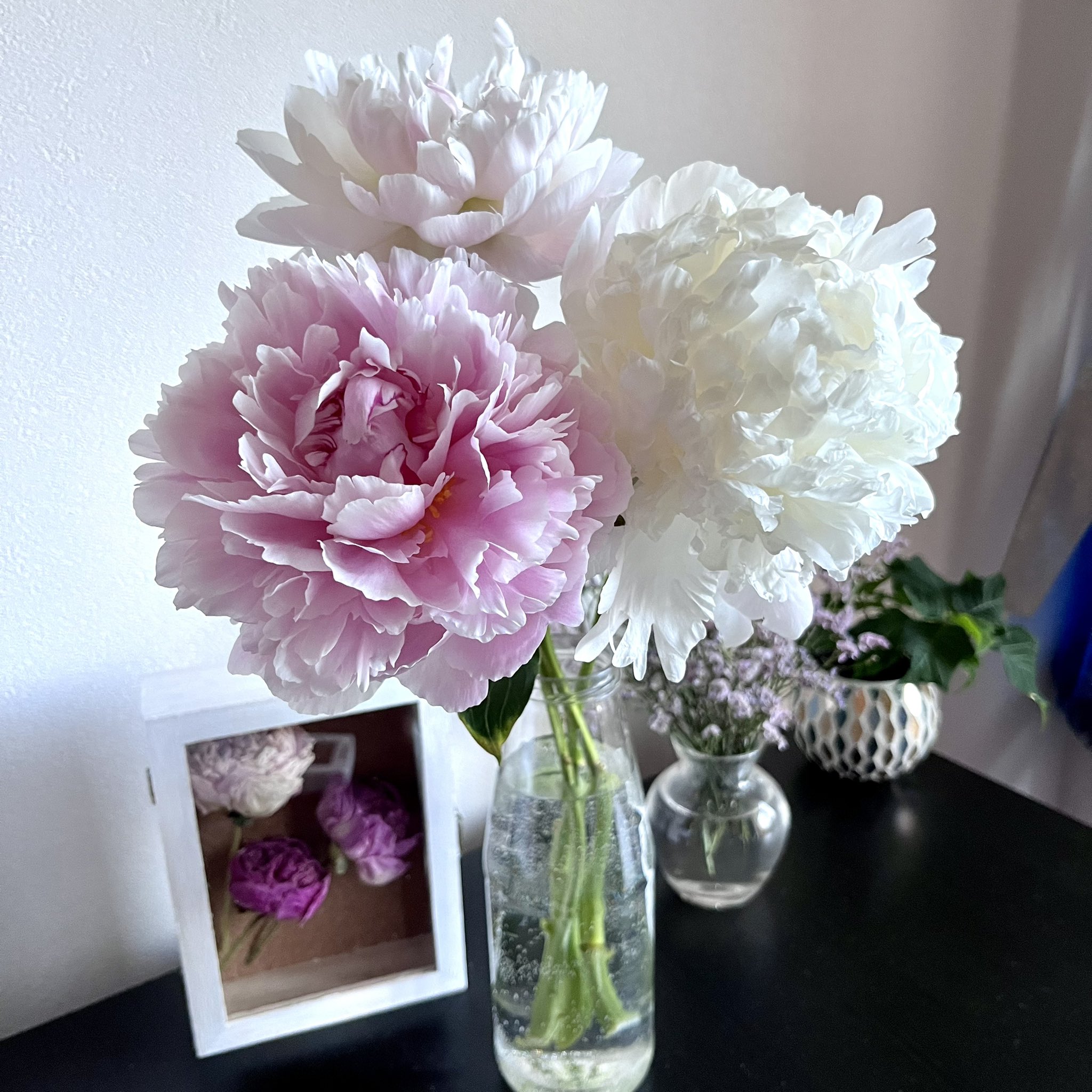 井上真理子 No Art No Life 芍薬が満開で お部屋が香りに包まれています 白の芍薬 には 幸せな結婚 という花言葉があります ピンクは 慎ましさ とか 恥じらい 何年経ってもお互いに気遣いや 恥じらいを忘れない夫婦でいたいです 井上真理子 No Art No Life 芍薬が満開で お部屋が香りに包まれています 白の芍薬 には 幸せな結婚 という花言葉があります ピンクは 慎ましさ とか 恥じらい 何年経ってもお互いに気遣いや 恥じらいを忘れない夫婦でいたいです