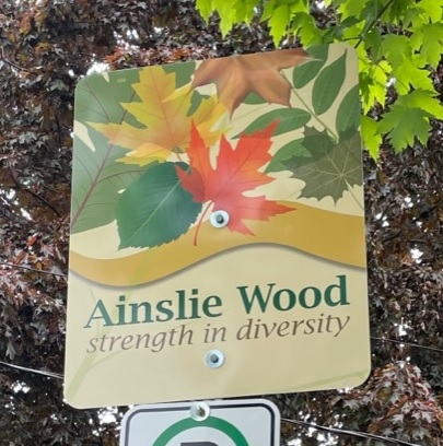 Ainslie Wood C.A. tweet media