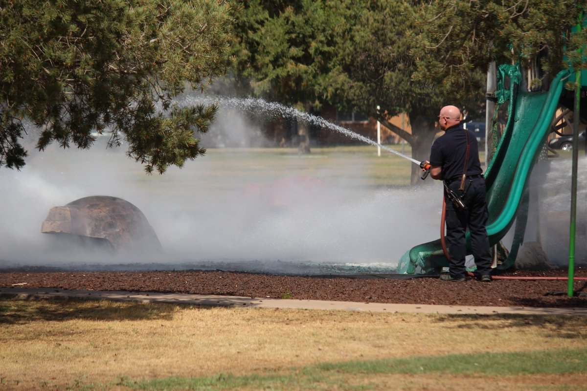 Alex Driggars tweet media