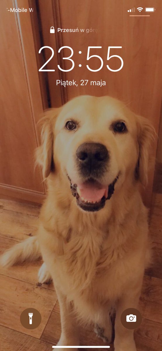 Tak btw… dzisiaj mijają dwa lata jak musiałam uśpić mojego misia