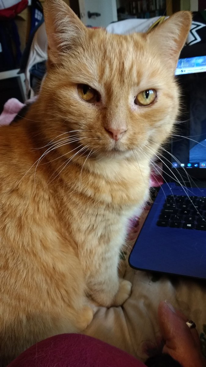 Doesn't she look a lot like Josephine?!