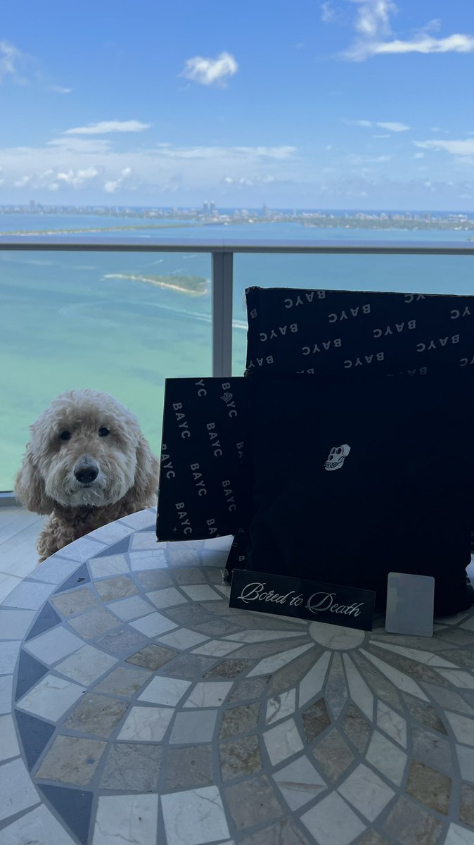 finally got my first <a href="/BoredApeYC/">Bored Ape Yacht Club 🍌</a> merch 🥲