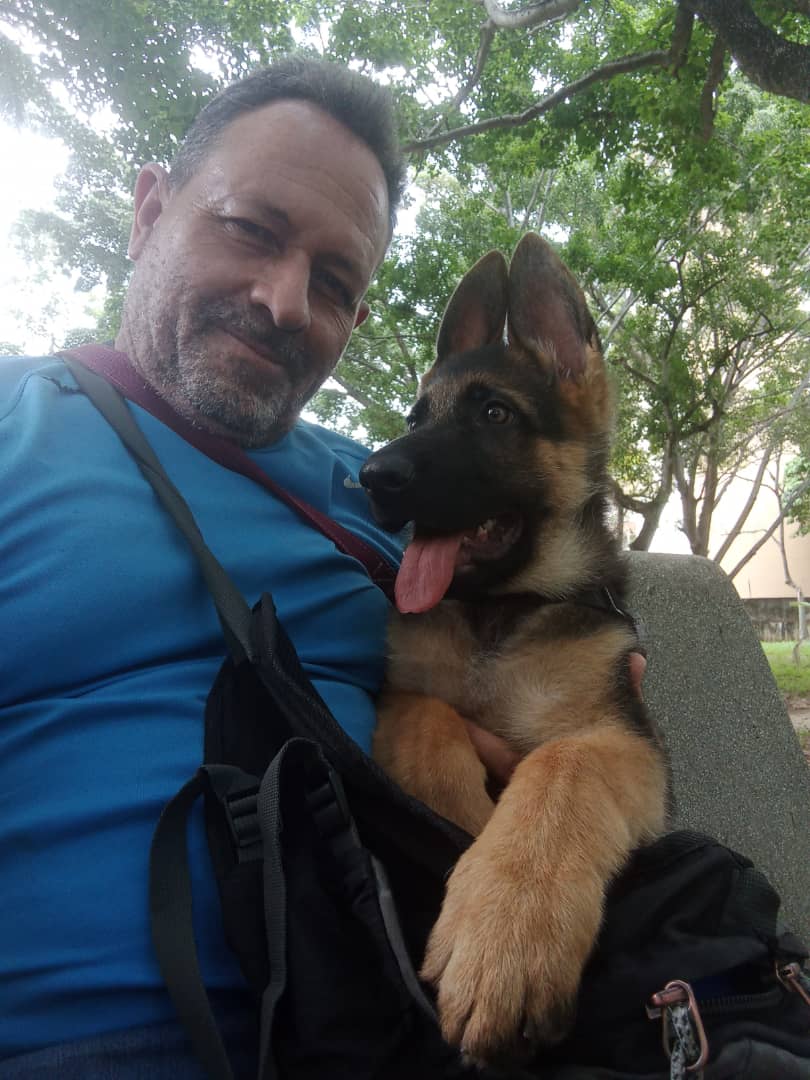 vodkcan's tweet photo. Harleking comenzando su Adiestramiento Básico 🐶😉👍

#PastorAlemán #PastorAleman #PerroPastor #PerroPastorAleman #AdiestramientoCanino  #EducaciónCanina  #ObedienciaCanina #VodkcanEscuelaCanina #Vodkcan  #EscuelaCanina #PerroEducado https://t.co/I9WN4S8InI
