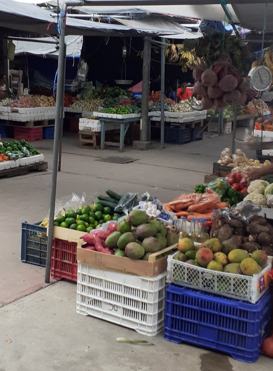 DrJoannaTindall's tweet photo. This morning's mission... get supplies! Wondering around San Ignacio market. https://t.co/JBgiWBtcGt