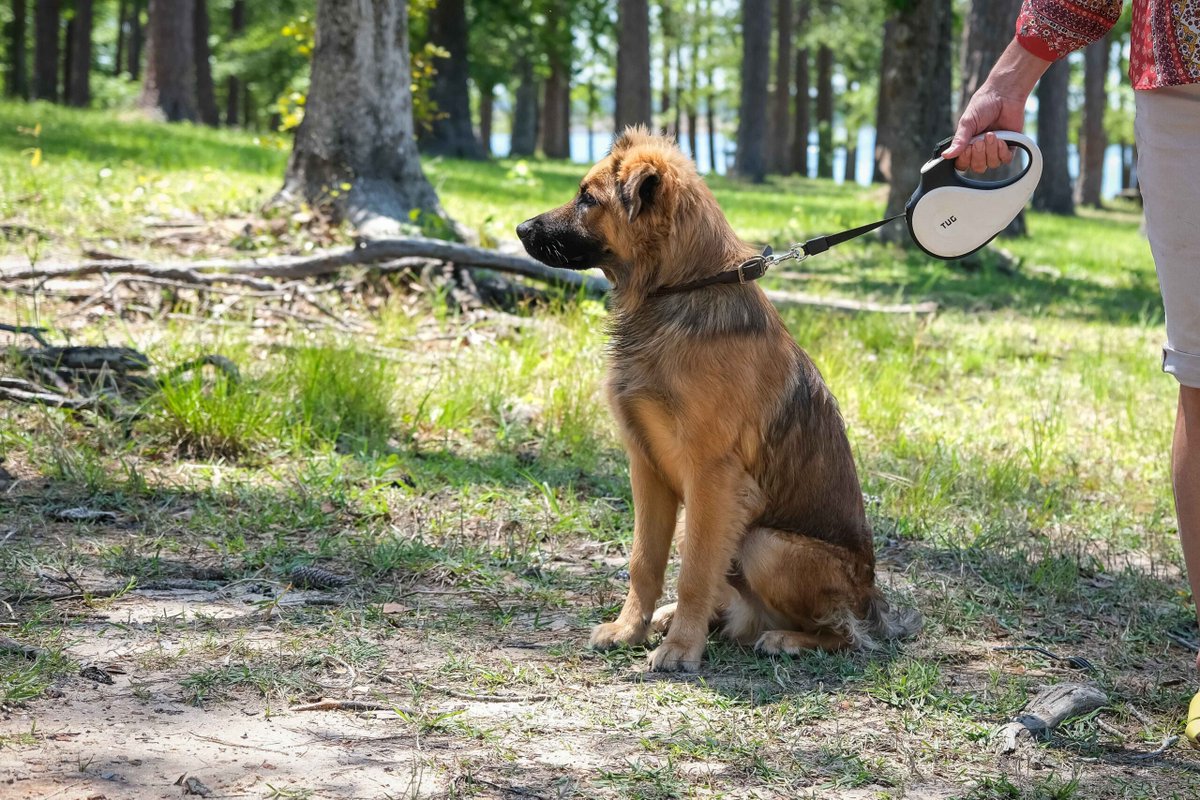 MajorLeagueFish's tweet photo. "Man's best *fishing* friend!" Show us a photo or two of your favorite canine fishing buddy!

#WEAREbassfishing https://t.co/TTd8j75R4J
