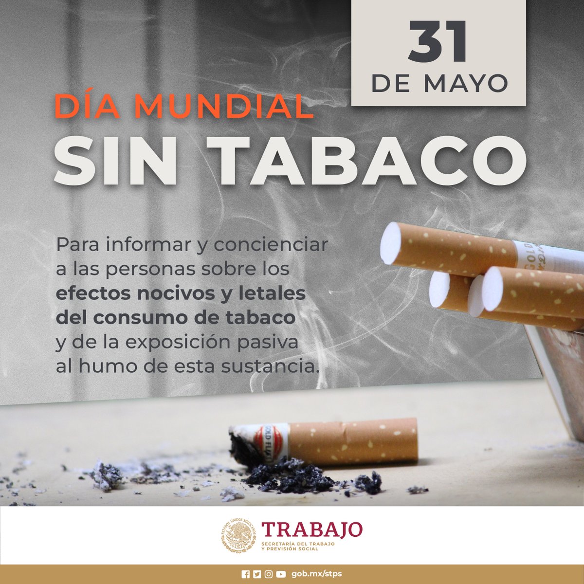 STPS_mx's tweet photo. 📌Hoy debemos crear conciencia a las personas sobre los efectos nocivos y letales del consumo de tabaco y de la exposición pasiva al humo.

✅Dejar de fumar es bueno para la salud y para el medio ambiente. https://t.co/0IfjecTklI