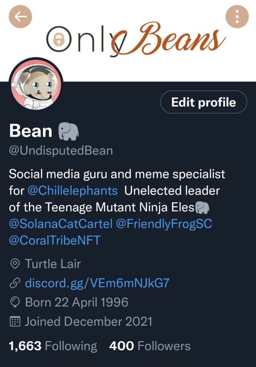 Bean 🐘 (Hiatus) tweet media